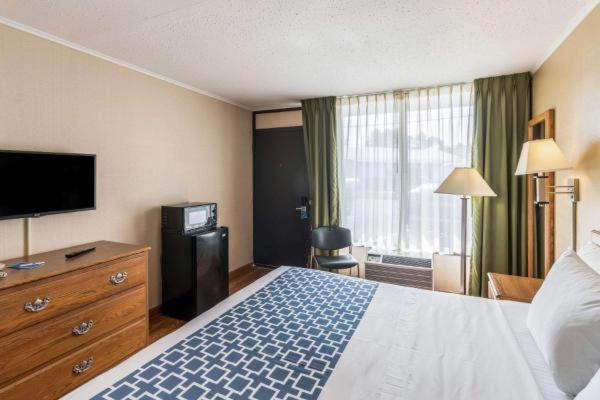 Standard King Room interior
